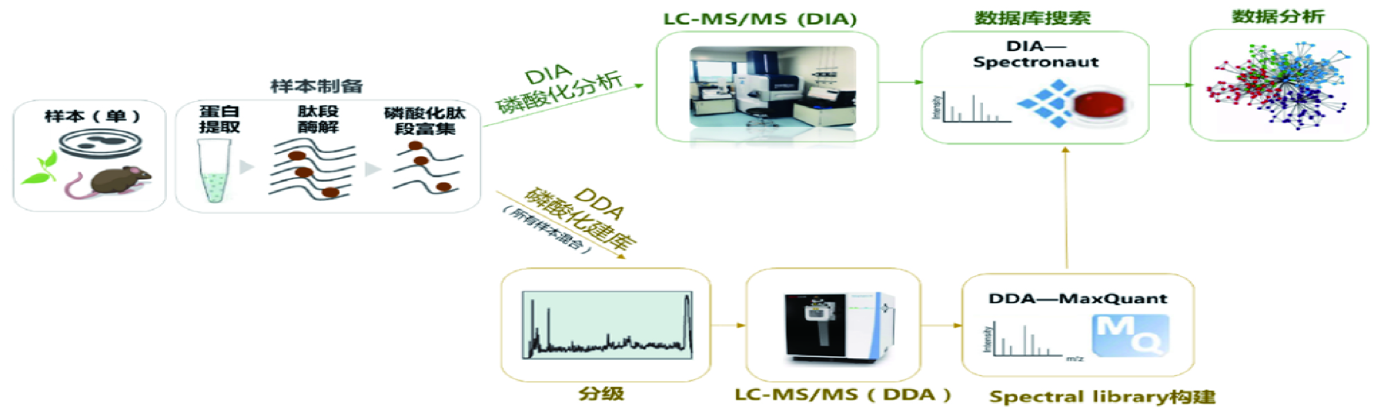 dd971f4ffd2c1aaa32a53d650f0e34f