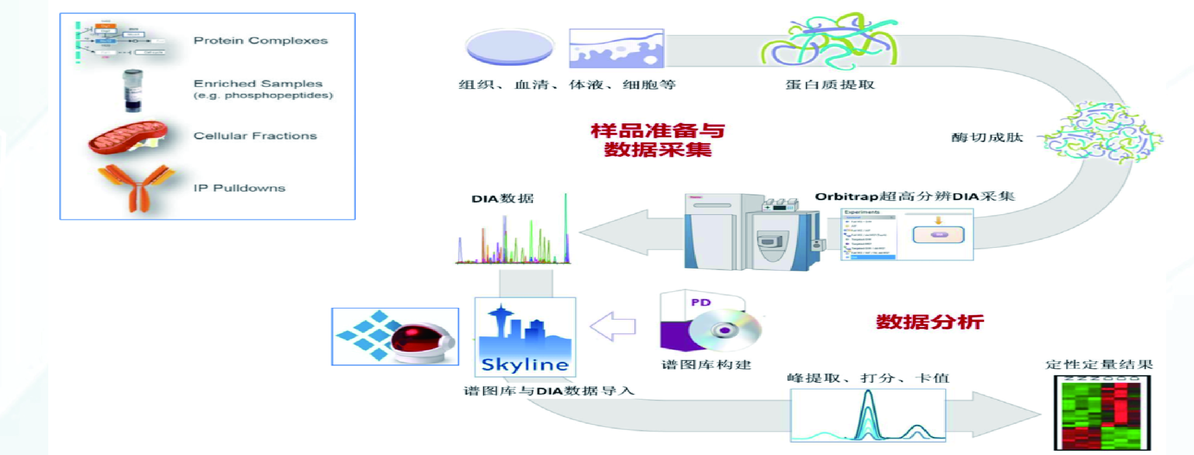 68ed1ffe75224c24321304fbc4b8b5e