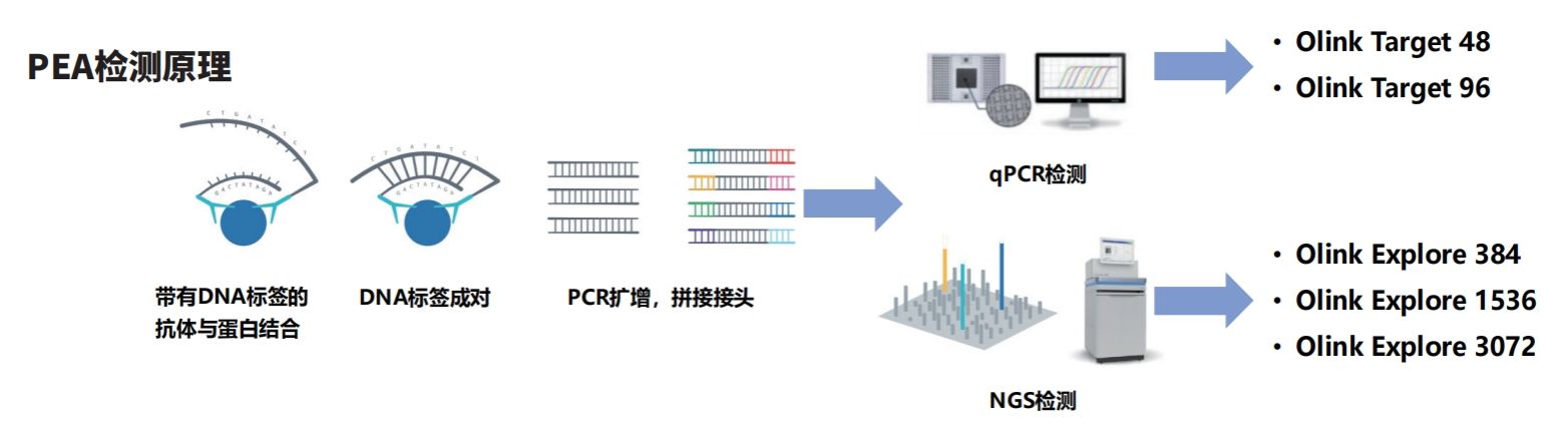 b42e07ba6603eebd9a8df978f274800