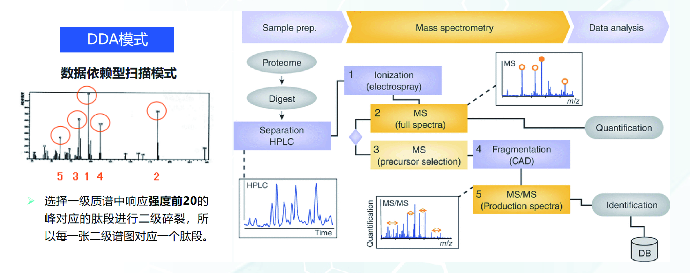 ff9262bbe6591292563c3003bcfd3e0