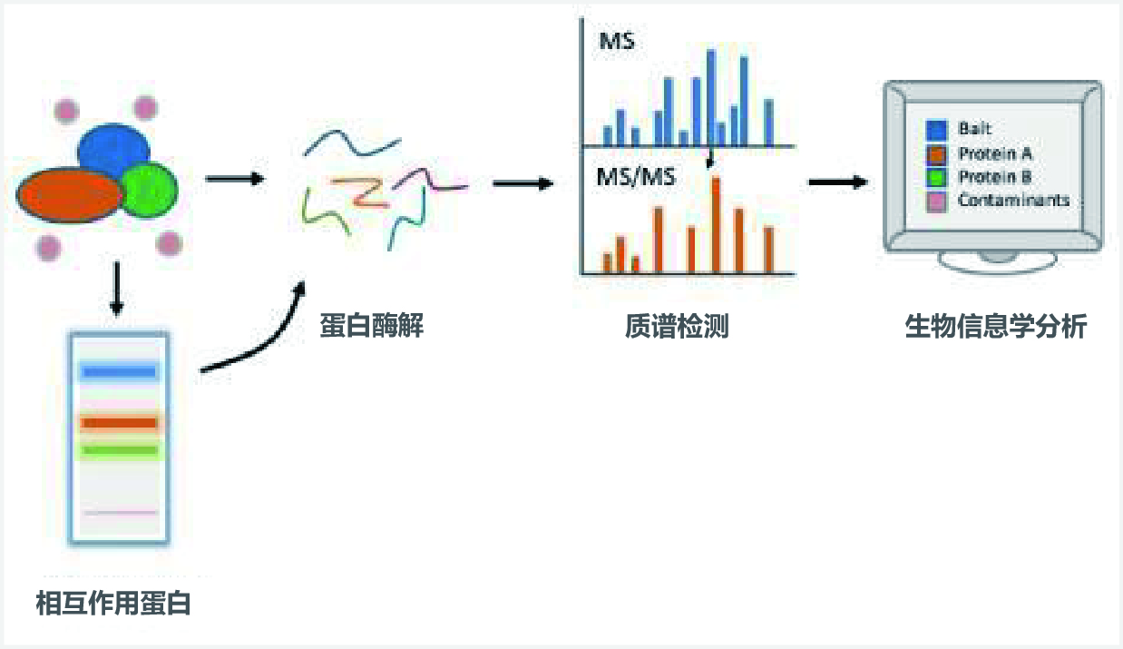 ad69fc20322fa9504985af56ec4c423